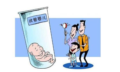 主案例